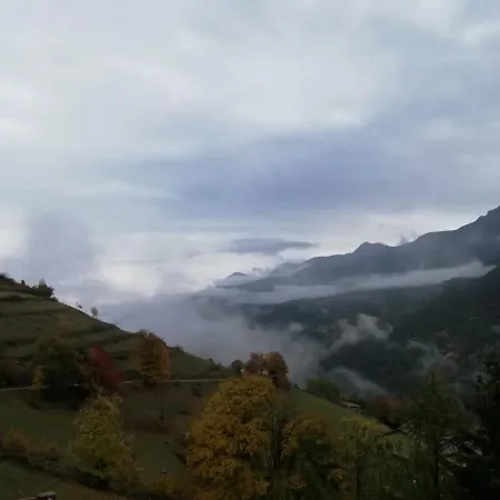 La Via Del Bosco *