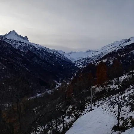 La Via Del Bosco *